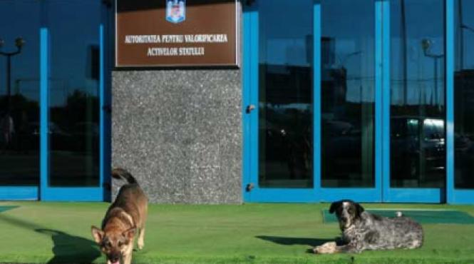 200 de angajati cheama avas la tribunal