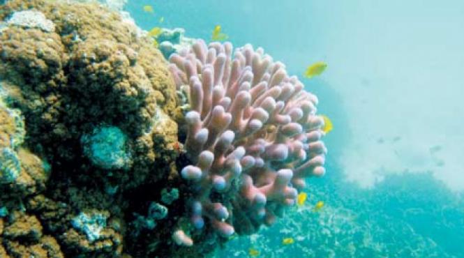 paranormalul din apa