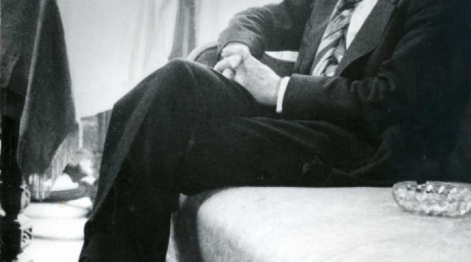 marele singuratic marin preda