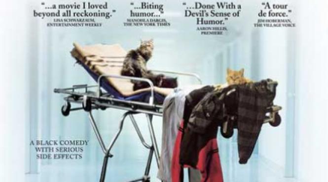 icr londra cinemateca romaneasca