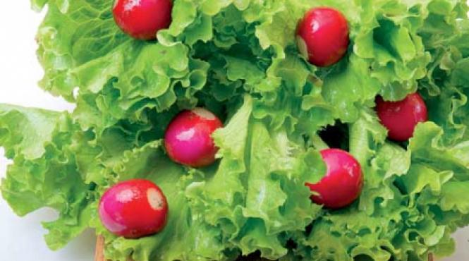ridichea si salata verde