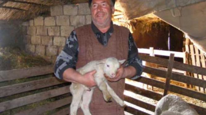 viata si moartea mielului pe plaiuri dobrogene