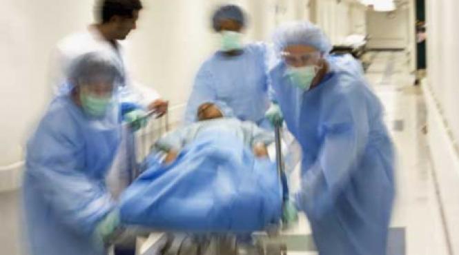 bolile nu ranjesc cu coltii plini de sange