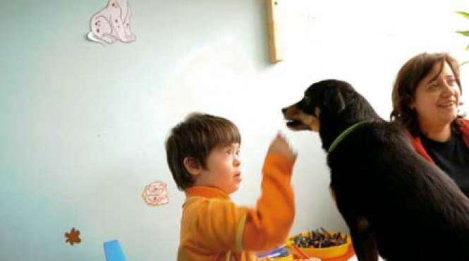 oare cainii viseaza dulce