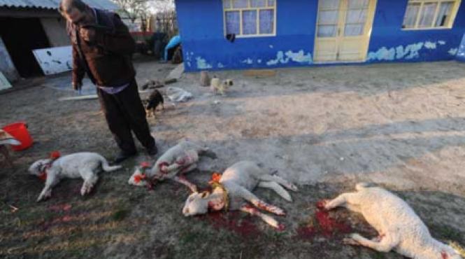 pastele tiganesc bairamul fara dumnezeu