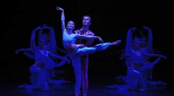 omul zilei alina cojocaru