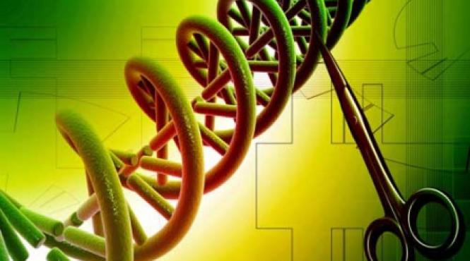 tratamente personalizate