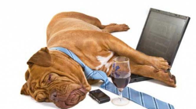 blogurile mogulii tatele si media