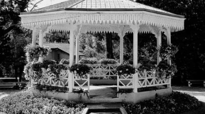 o reteta pe placul reginei maria