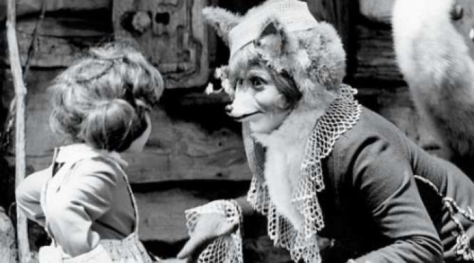 tinerete fara batranete