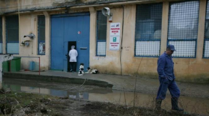 bacilul beraru ataca din nou