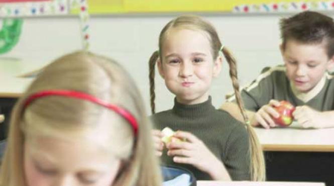 mere la standarde ue pentru elevi