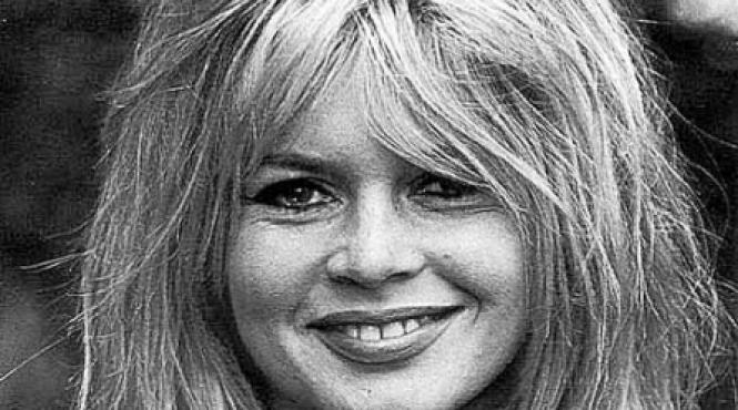 brigitte bardot despre elena ceausescu n am sa intruchipez o asemenea taratura