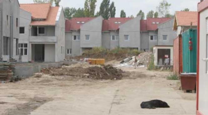 afacerile cu locuinte au cazut