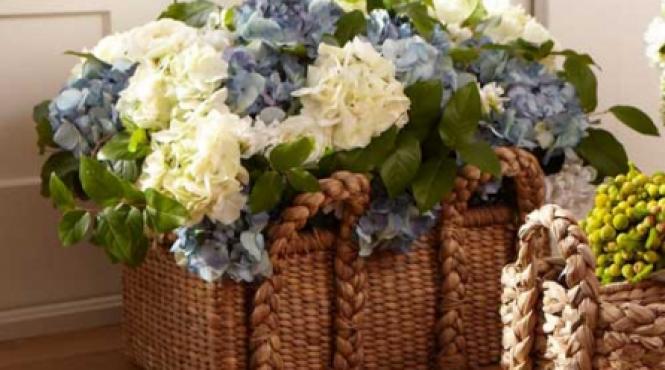 buchete de flori proaspete si plante in ghiveci care rezista mult si bine