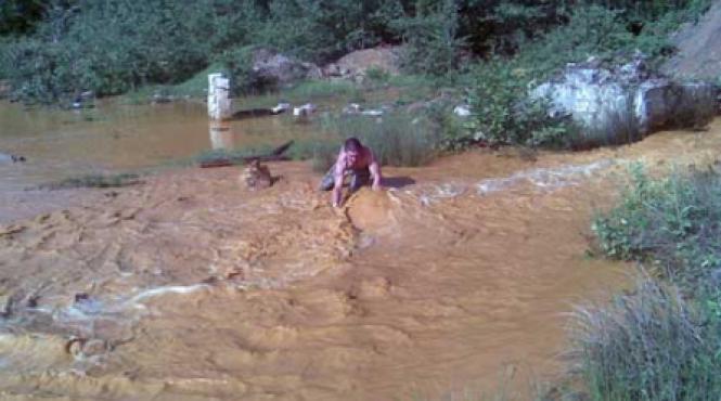 accident ecologic in maramures