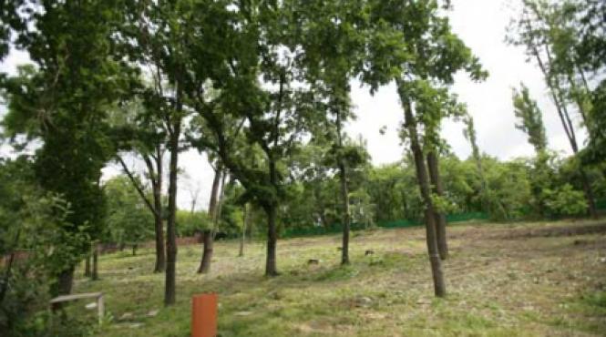 legea spatiilor verzi nu trebuie modificata