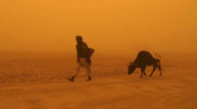sua au descoperit in afganistan resurse minerale in valoare de un trilion de dolari