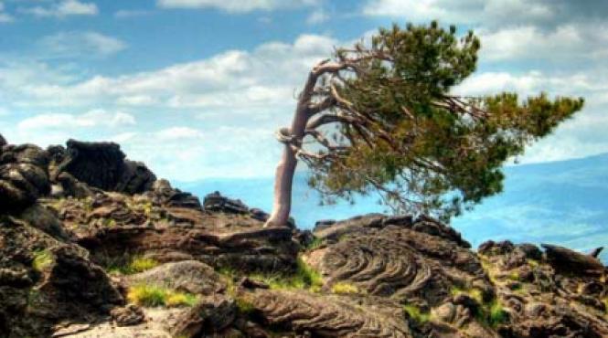 am urcat pe vulcanul etna