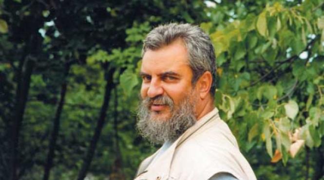 intreceri culinar sportive