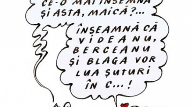 videanu si berceanu amr 30