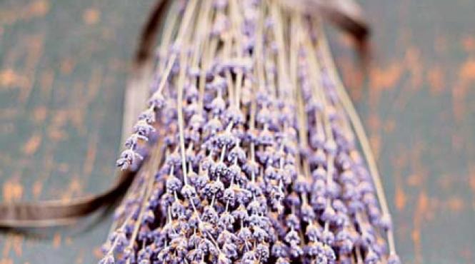 trusa naturista pentru un concediu sanatos