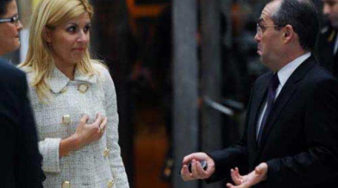 udrea isi rearanjeaza ploile stricate de boc