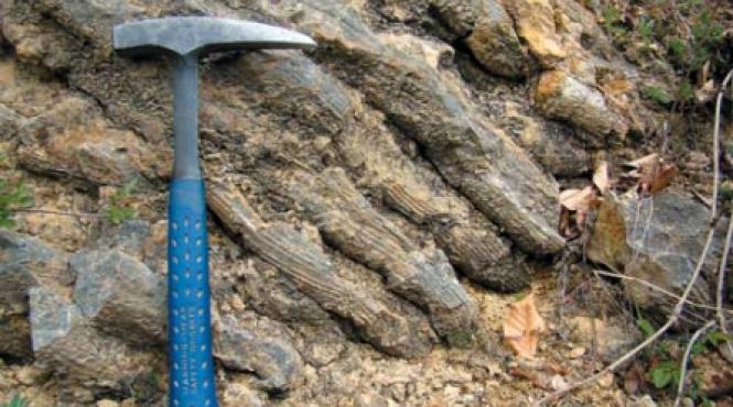 ciolanele dracilor din valea neagra