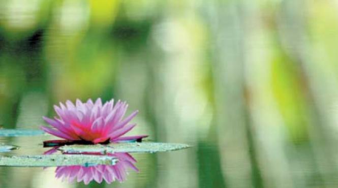 poeme in sticlute mici