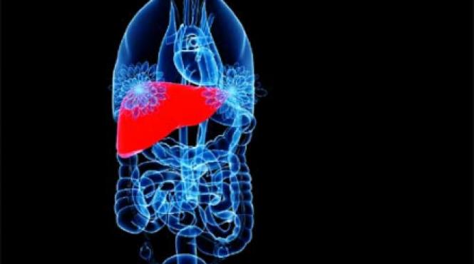 ficatul prea delicat si prea fragil