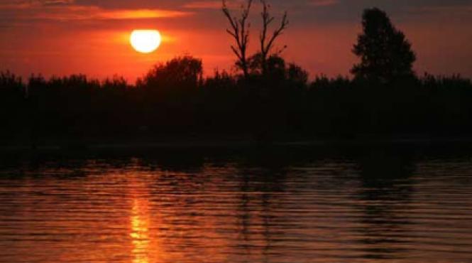 orasul anonim de sub stuf din delta