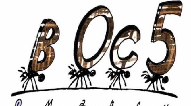 cata vreme mai e cineva in tribuna