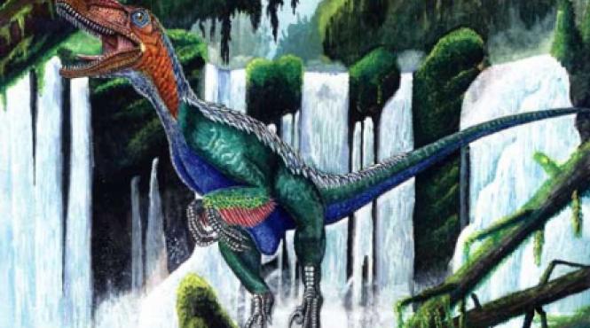 piticul ninja din cretacic