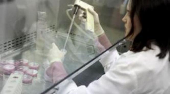 romanca arestata in bulgaria pentru trafic cu ovule