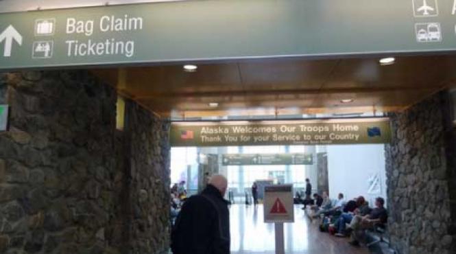 goana dupa alaska ii