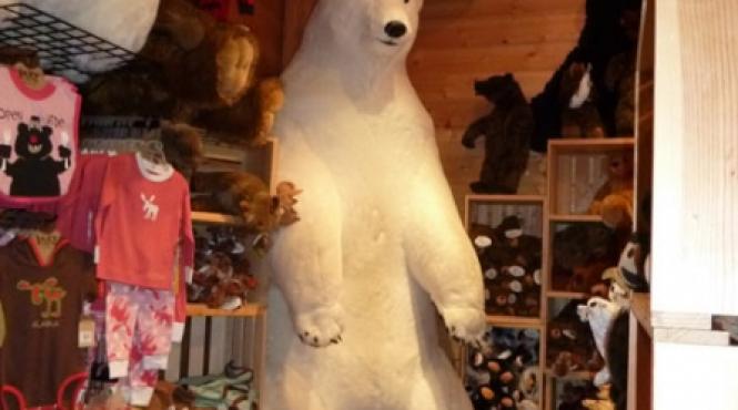 goana dupa alaska iii