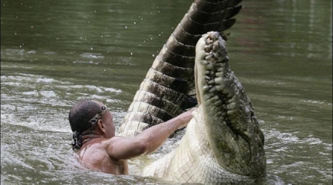 costaricanul chito prieten la catarama cu un crocodil