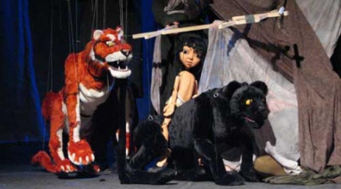 festival de teatru pentru orice public