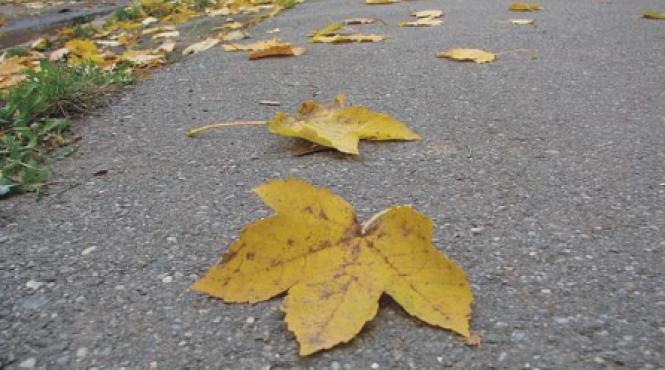 25 de grade in octombrie prima ninsoare in noiembrie viscol in decembrie