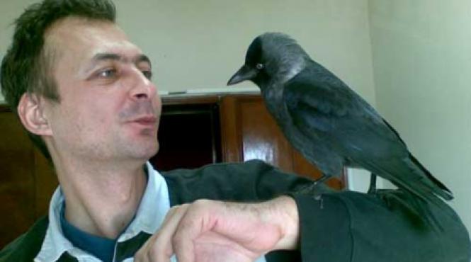 musuroiul meu e palatul de clestar isi zise cartita