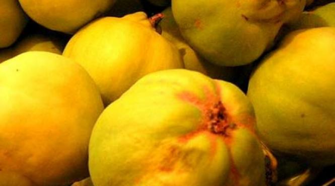 unde dai si unde gutuie