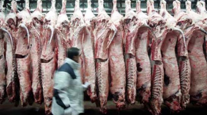 teapa de tip romanesc in muschiul nemtesc