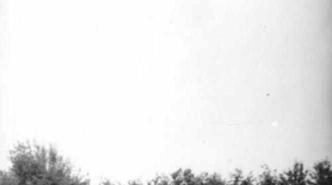 fenomenele din padurea baciu