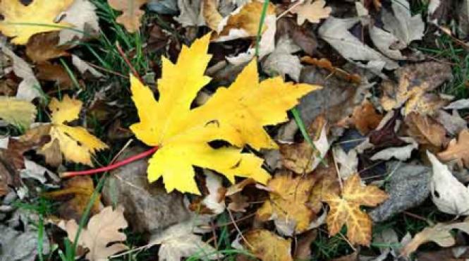 noiembrie incepe cu vreme mai calda