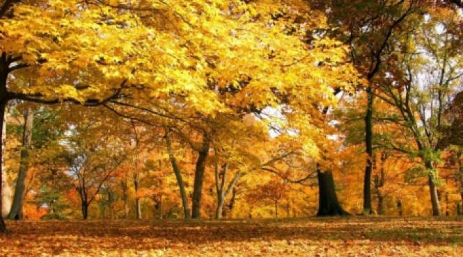 de joi vremea se incalzeste in toata tara