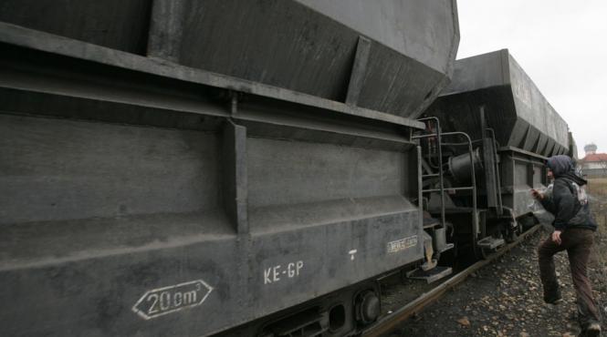 carbunarii corbi pe hoitul de carbune