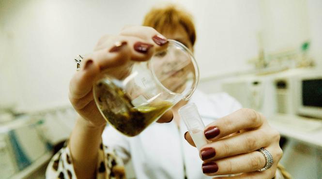 etnobotanicele sunt prafuri create in laborator