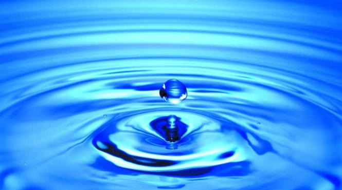 vestitorii muti ai stresului