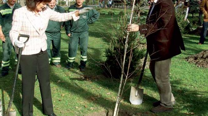 un cadou verde de la ambasadori
