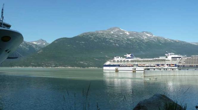 goana dupa alaska 14